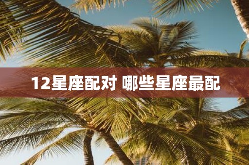 12星座配对 哪些星座最配