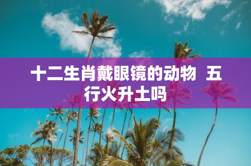 十二生肖戴眼镜的动物 五行火升土吗
