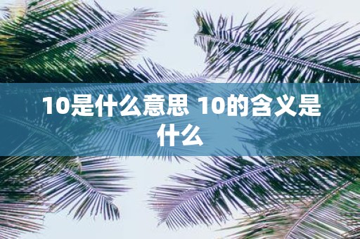 10是什么意思 10的含义是什么