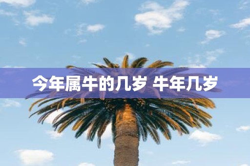 今年属牛的几岁 牛年几岁