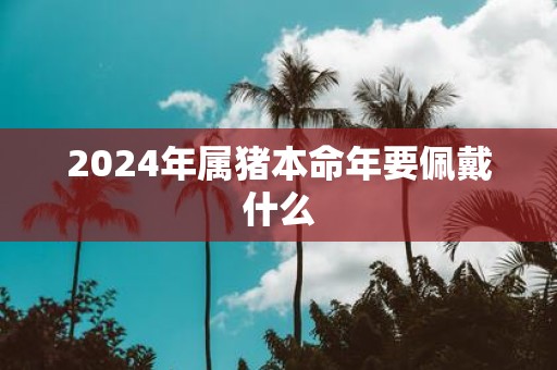 2025年属猪本命年要佩戴什么