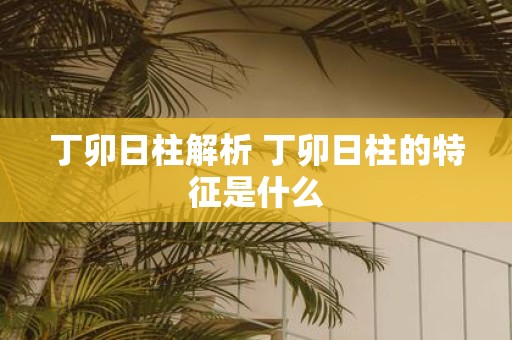 丁卯日柱解析 丁卯日柱的特征是什么