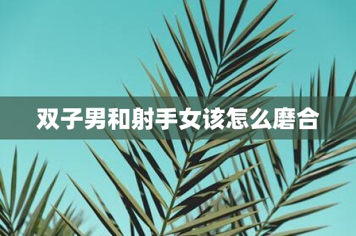 双子男和射手女该怎么磨合