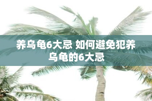 养乌龟6大忌 如何避免犯养乌龟的6大忌