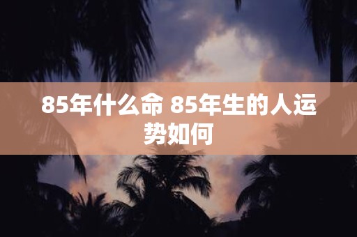 85年什么命 85年生的人运势如何