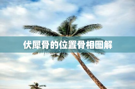 伏犀骨的位置骨相图解