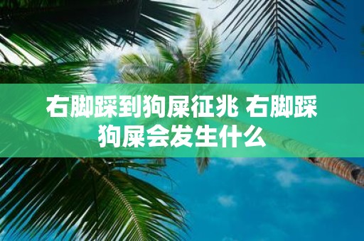 右脚踩到狗屎征兆 右脚踩狗屎会发生什么