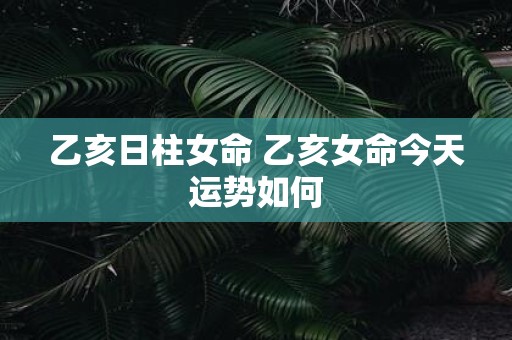 乙亥日柱女命 乙亥女命今天运势如何