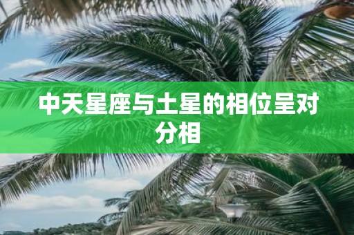 中天星座与土星的相位呈对分相
