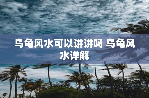乌龟风水可以讲讲吗 乌龟风水详解