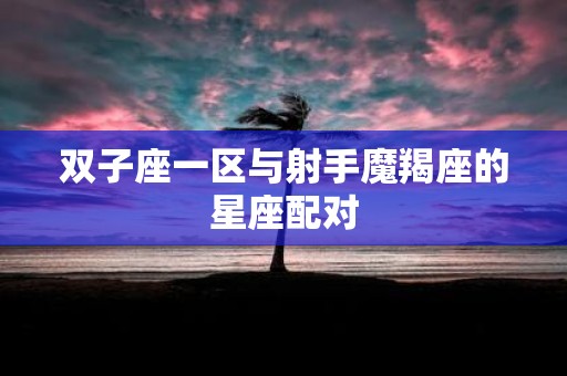 双子座一区与射手魔羯座的星座配对