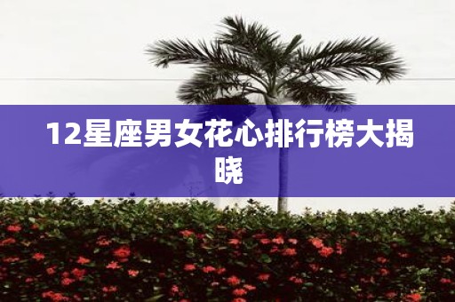 12星座男女花心排行榜大揭晓