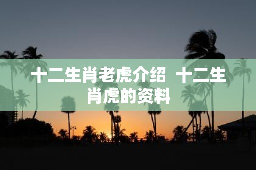 十二生肖老虎介绍 十二生肖虎的资料