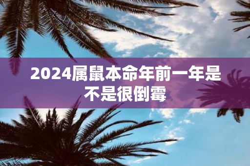 2025属鼠本命年前一年是不是很倒霉