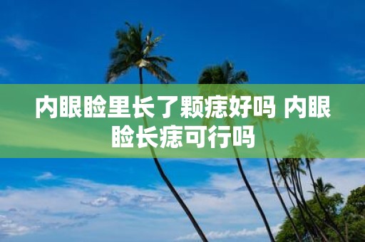 内眼睑里长了颗痣好吗 内眼睑长痣可行吗