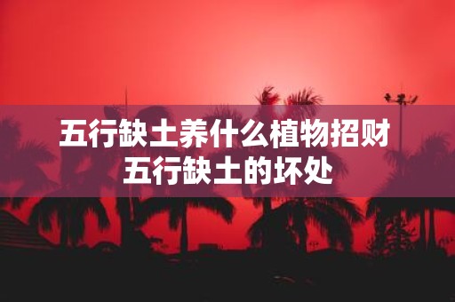 五行缺土养什么植物招财 五行缺土的坏处
