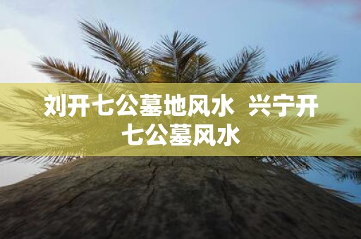 刘开七公墓地风水 兴宁开七公墓风水