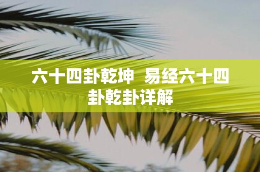 六十四卦乾坤 易经六十四卦乾卦详解