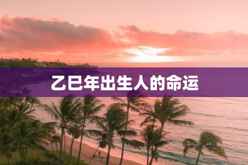 乙巳年出生人的命运