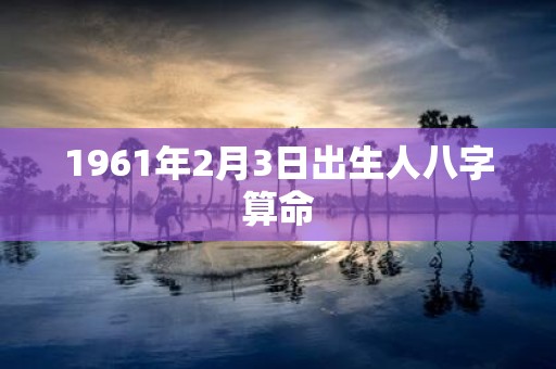 1961年2月3日出生人八字算命