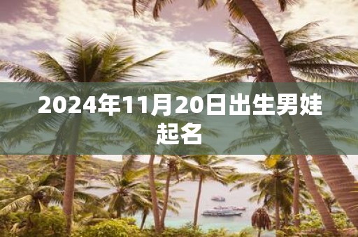 2025年11月20日出生男娃起名