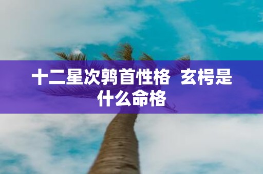 十二星次鹑首性格 玄枵是什么命格