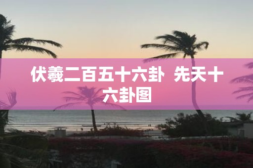 伏羲二百五十六卦 先天十六卦图