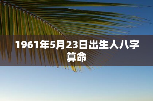 1961年5月23日出生人八字算命