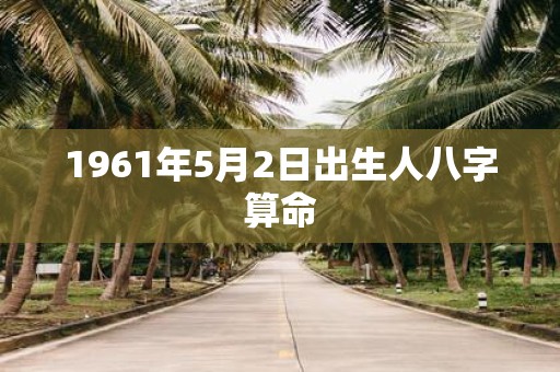 1961年5月2日出生人八字算命