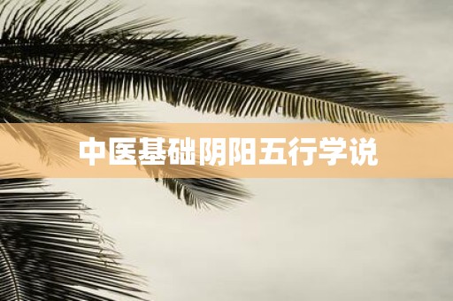 中医基础阴阳五行学说