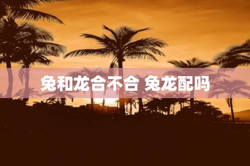 兔和龙合不合 兔龙配吗