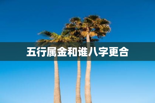 五行属金和谁八字更合