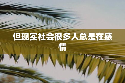 但现实社会很多人总是在感情