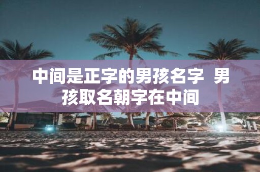 中间是正字的男孩名字 男孩取名朝字在中间
