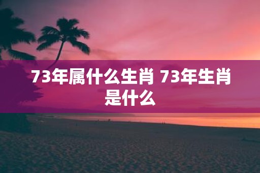 73年属什么生肖 73年生肖是什么