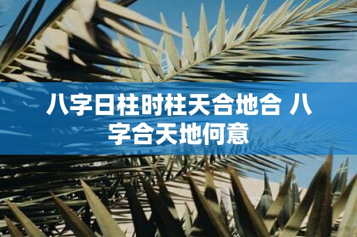 八字日柱时柱天合地合 八字合天地何意