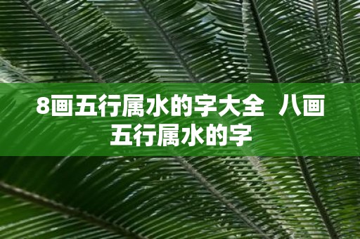 8画五行属水的字大全 八画五行属水的字