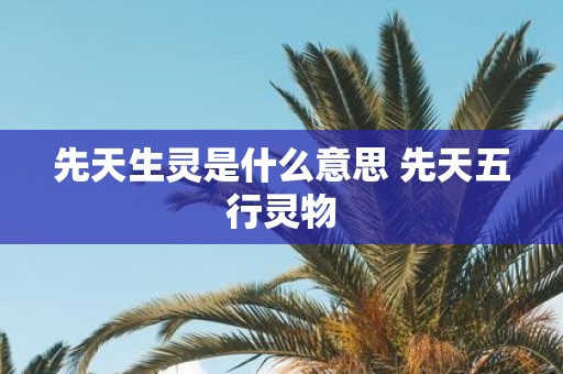 先天生灵是什么意思 先天五行灵物