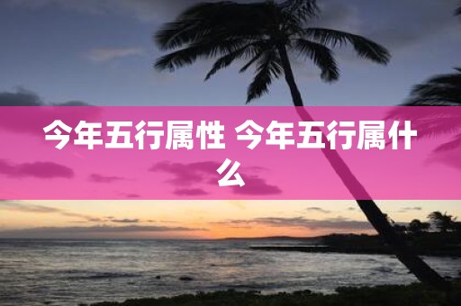 今年五行属性 今年五行属什么