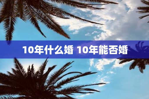 10年什么婚 10年能否婚