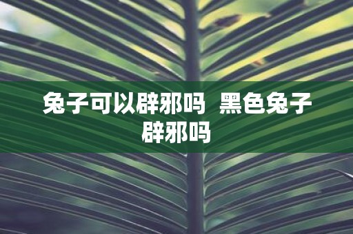 兔子可以辟邪吗 黑色兔子辟邪吗
