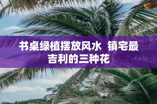 书桌绿植摆放风水 镇宅最吉利的三种花