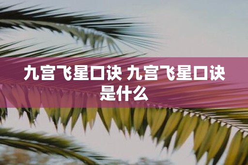 九宫飞星口诀 九宫飞星口诀是什么