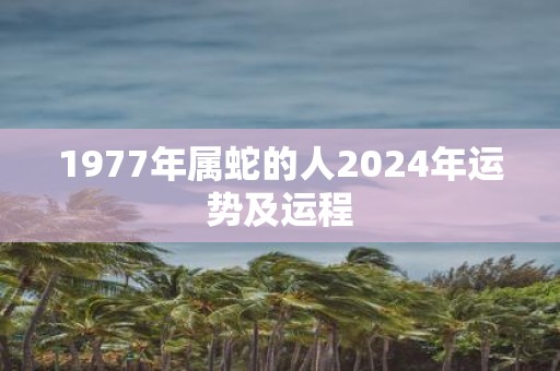 1977年属蛇的人2025年运势及运程