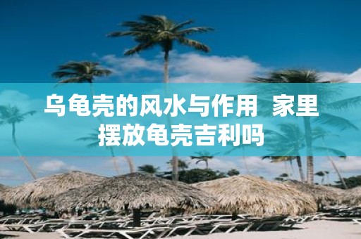 乌龟壳的风水与作用 家里摆放龟壳吉利吗