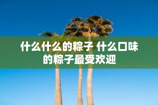 什么什么的粽子 什么口味的粽子最受欢迎