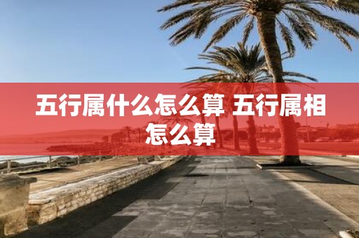 五行属什么怎么算 五行属相怎么算