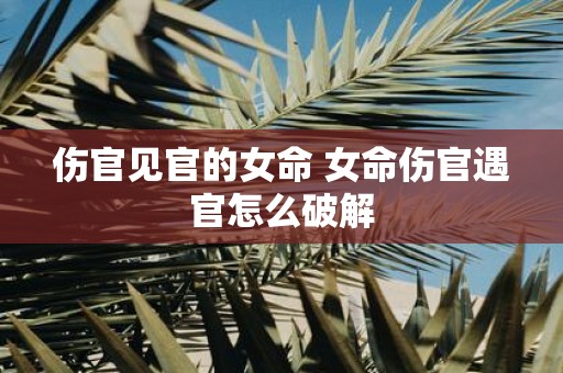 伤官见官的女命 女命伤官遇官怎么破解