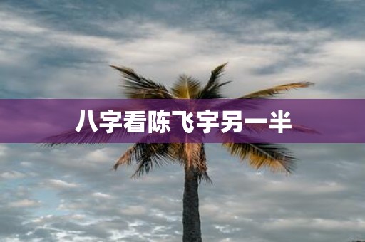 八字看陈飞宇另一半