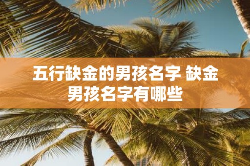 五行缺金的男孩名字 缺金男孩名字有哪些